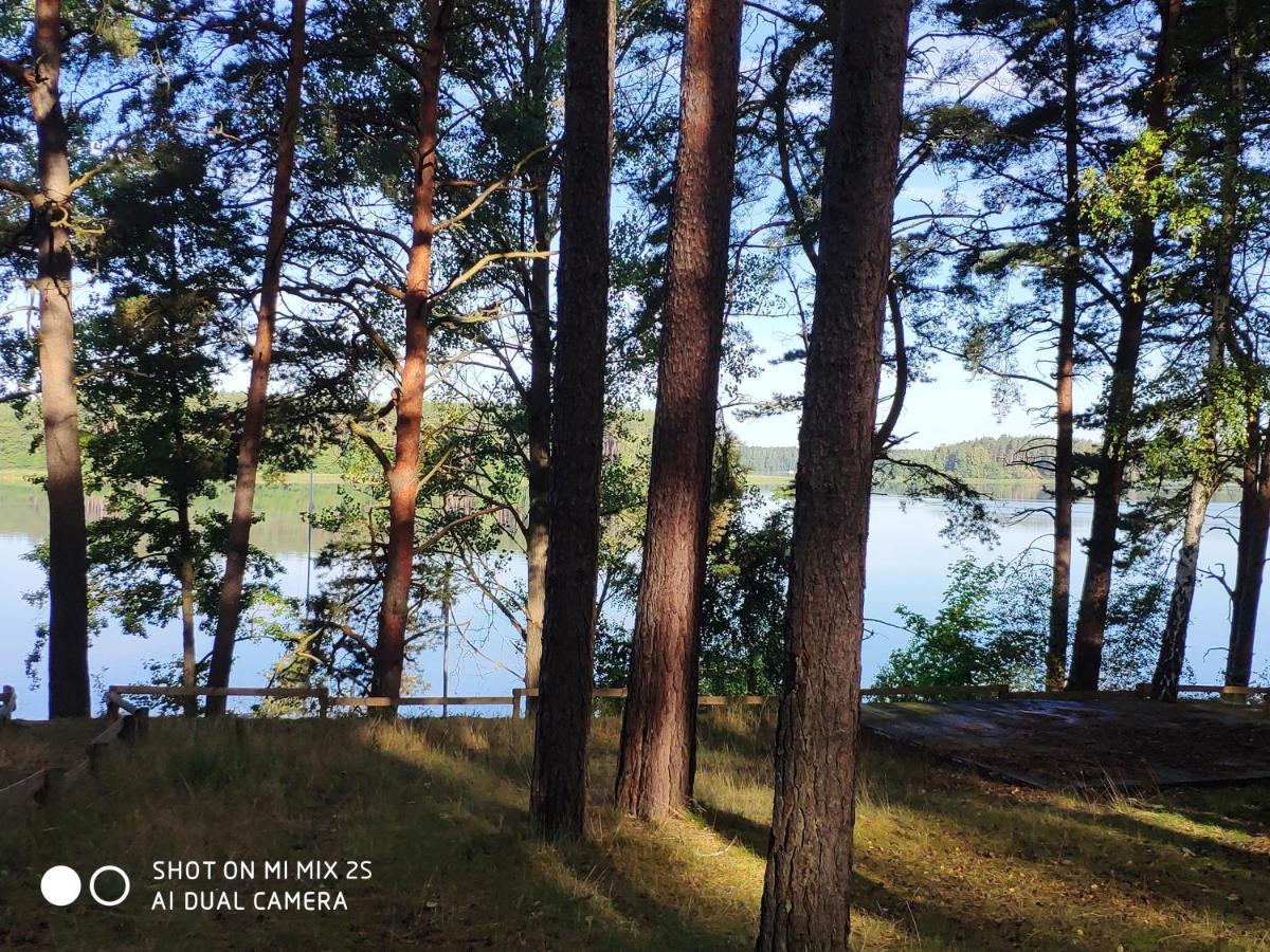 Sloneczny Domek Borsk Nr 2 I 15 - Nad Samym Jeziorem W Pierwszej Linii Екстер'єр фото